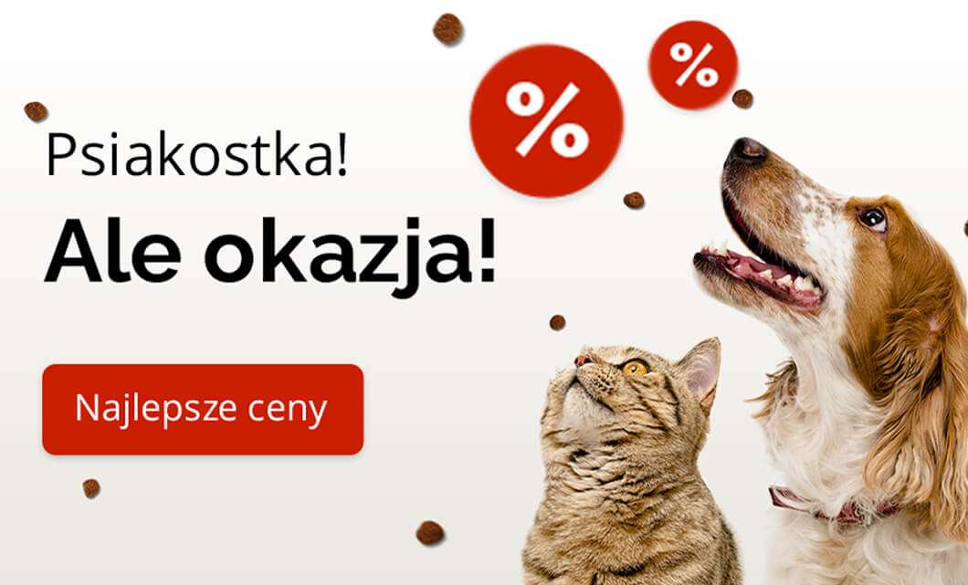 Przykład baneru dla sklepu online z kreatywnymi treściami przemawiającymi do właścicieli zwierząt